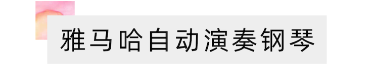 活动报道 | 远程艺术教育大师课活动—雷火电竞艺术家吴晓大师课